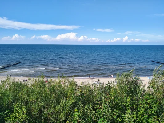 Panorama plaży w Rewalu znad klifu: zielone krzewy na pierwszym planie, piaszczysty brzeg i łagodne fale Bałtyku.