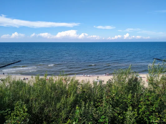 Panoramiczny widok na piaszczystą plażę w Rewalu i Bałtyk z klifu, przez zielone nadmorskie zarośla.