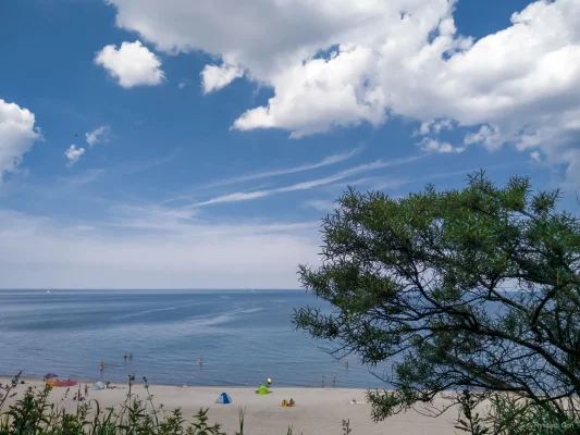 Szeroka plaża w Rewalu z kolorowymi namiotami, spokojny Bałtyk, błękitne niebo z chmurami i gałąź rokitnika w rogu.